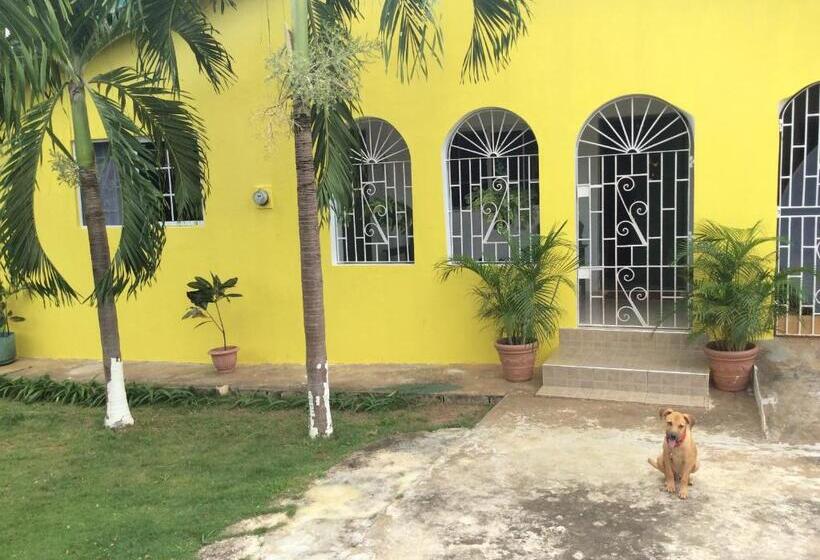 پانسیون Treaysures