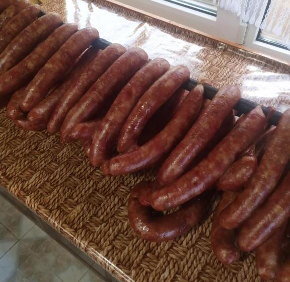 פנסיון Zustrizh U Leva