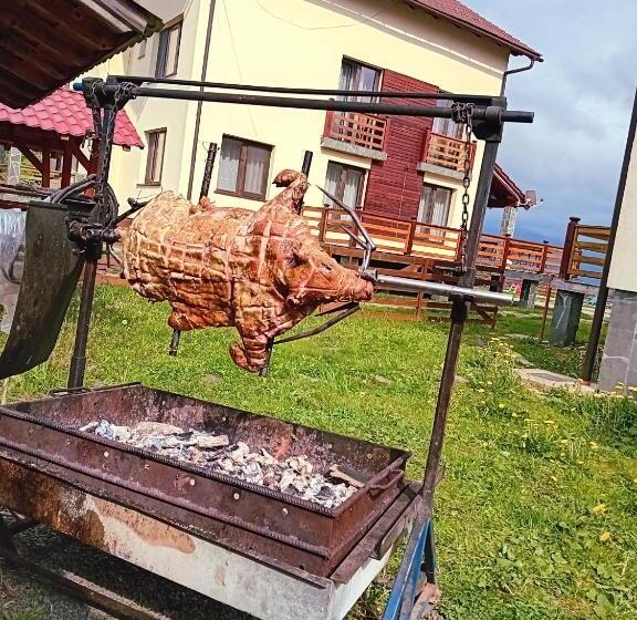 Pensiunea Paradisul Naturii