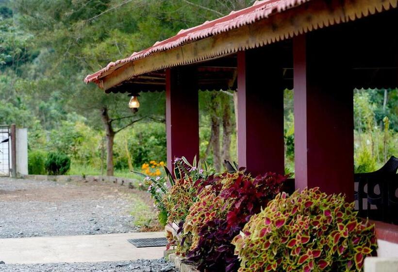 Bed and Breakfast Spring Fields Coorg Homestay
