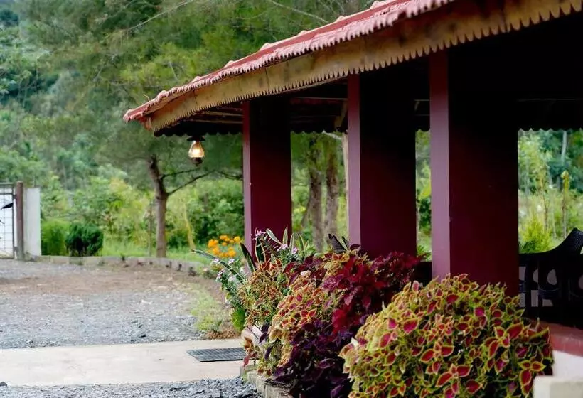 ベッドアンドブレックファースト Spring Fields Coorg Homestay