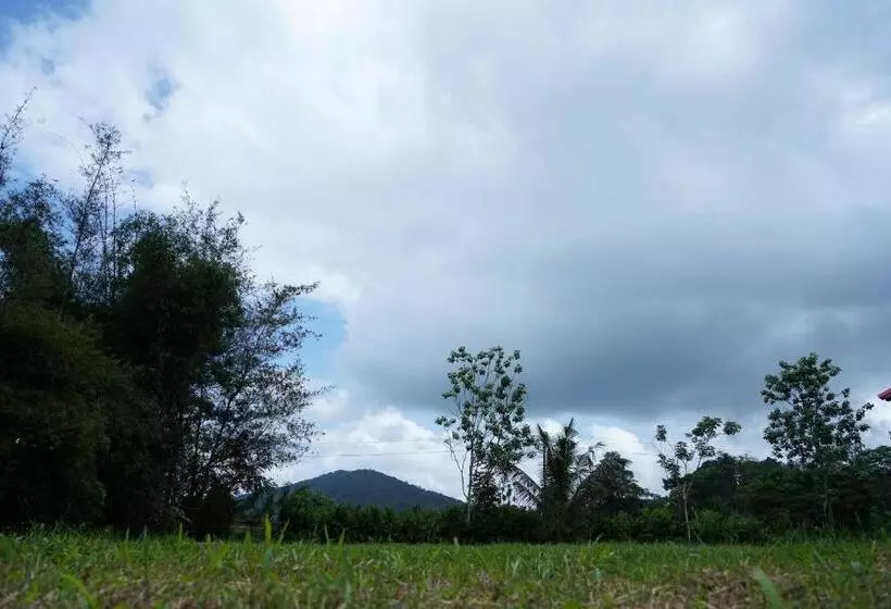 ベッドアンドブレックファースト Spring Fields Coorg Homestay