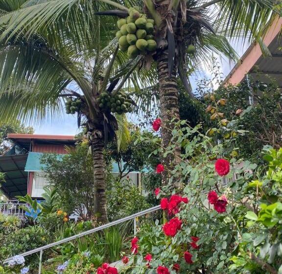 بنسيون Villa Garita Inn