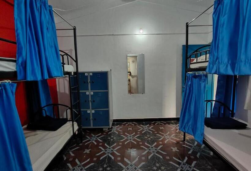 The Goanvibes Hostel And Cafe