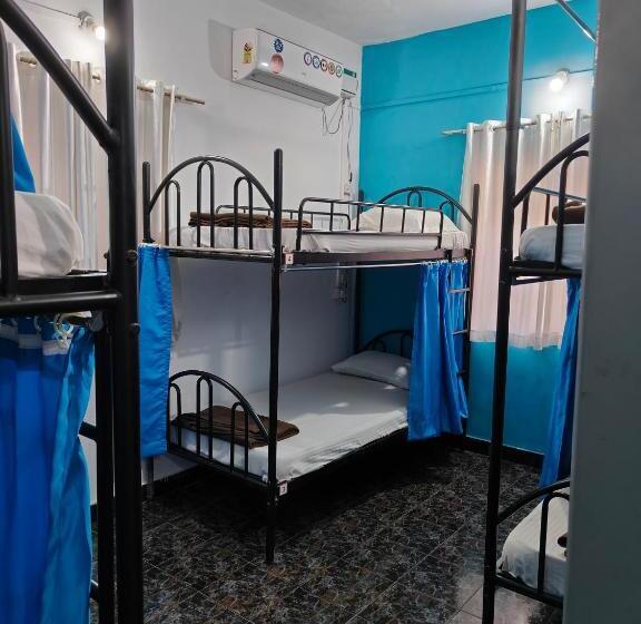 The Goanvibes Hostel And Cafe