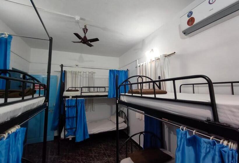 The Goanvibes Hostel And Cafe