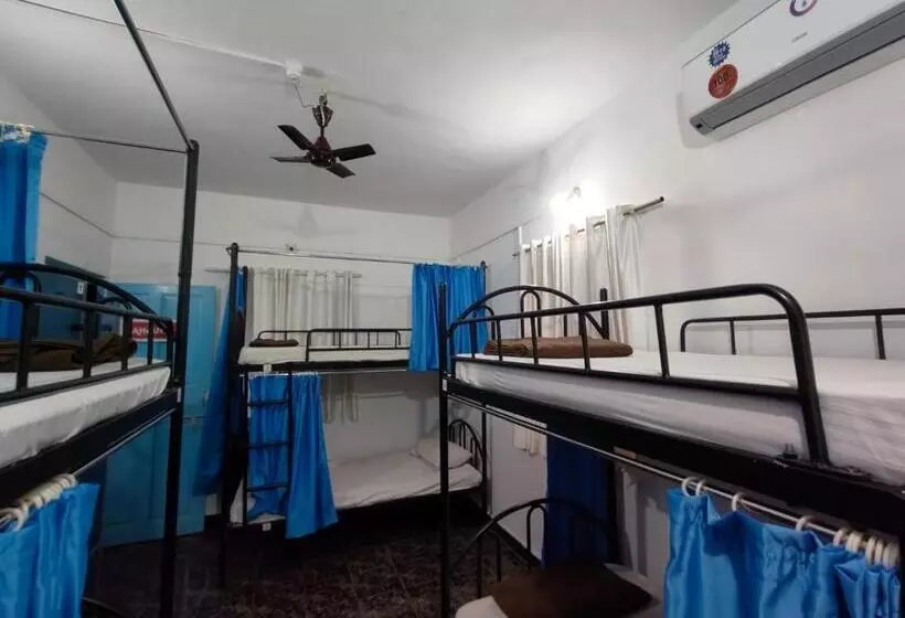The Goanvibes Hostel And Cafe