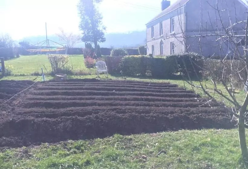 Aamiaismajoitus (B&B) Fferm Glanyrynys Farm