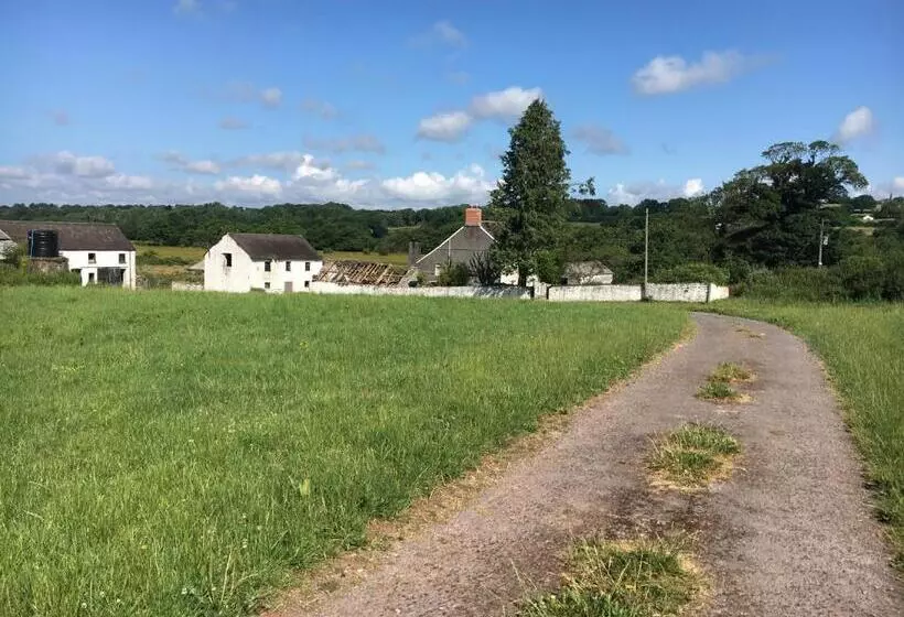 Aamiaismajoitus (B&B) Fferm Glanyrynys Farm