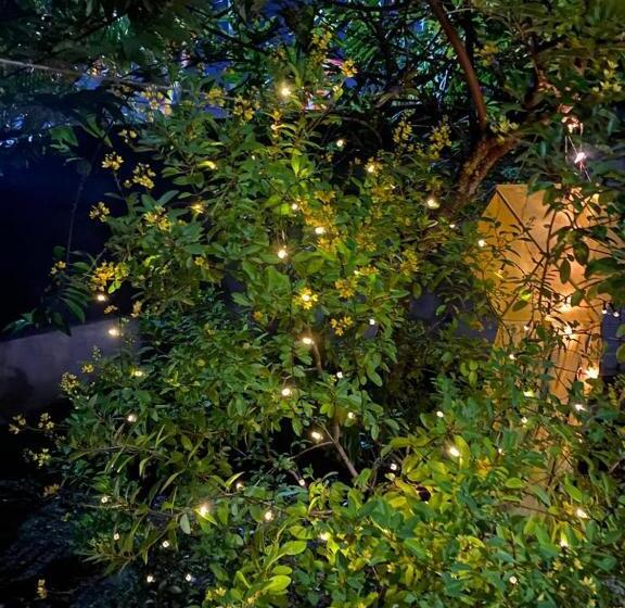 Bed & Breakfast Villa Dilinga