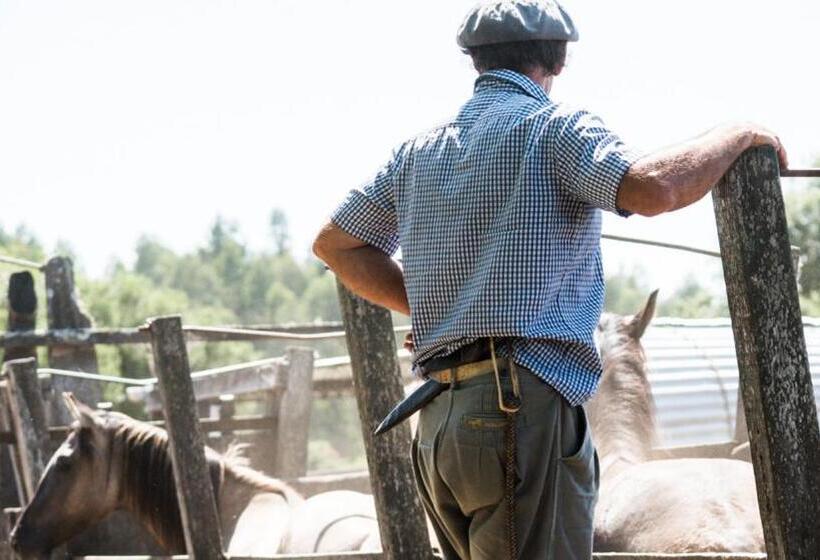 فندق Estancia La Pilona