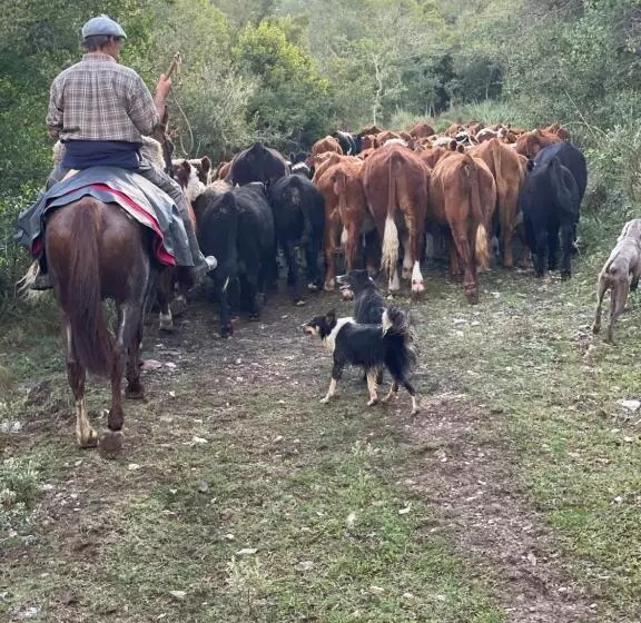 ホテル Estancia La Pilona