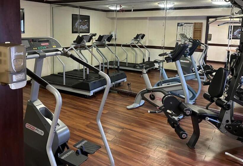 Hotel Red Roof Inn Auburn Hills