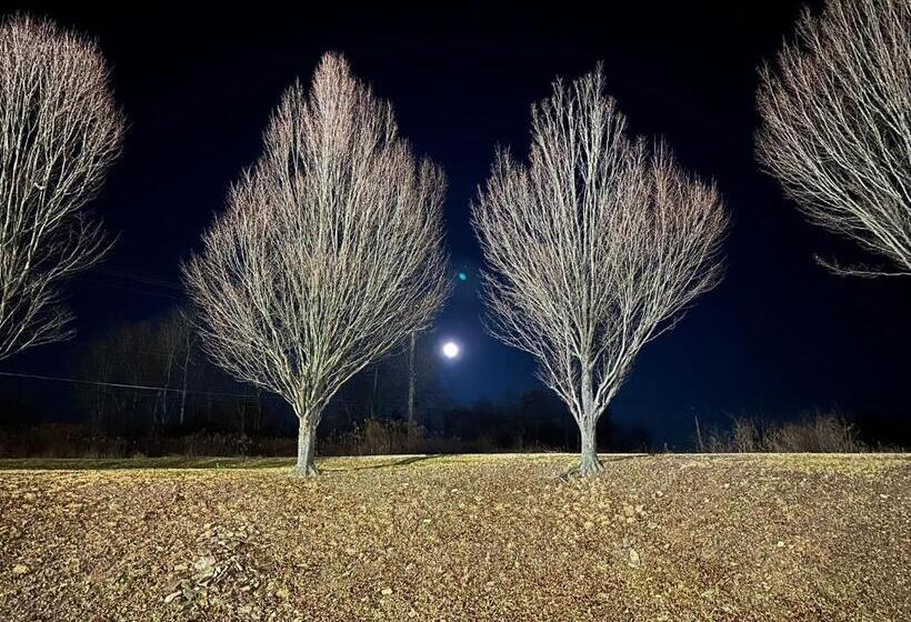 בית מלון כפרי Mainstays And Suites By Choice