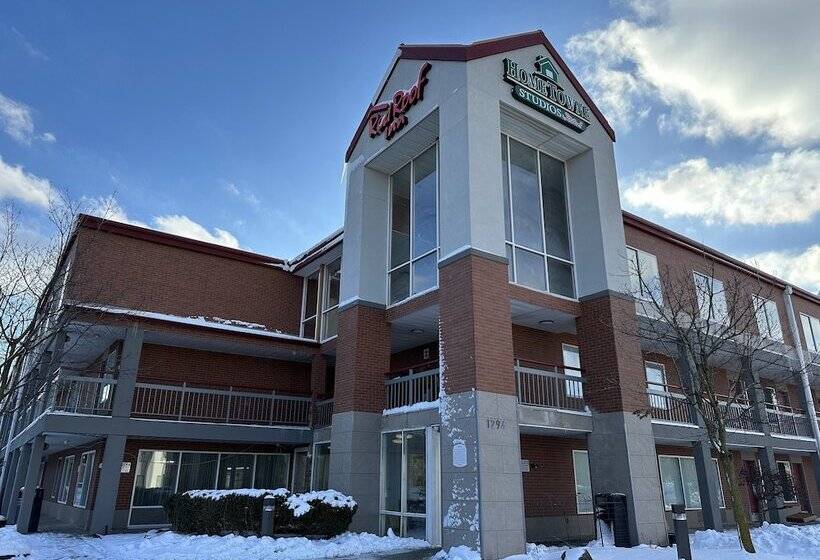 Hotel Red Roof Inn Auburn Hills