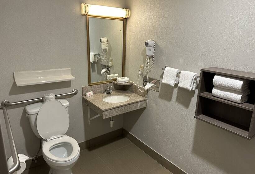 Hotel Red Roof Inn Auburn Hills