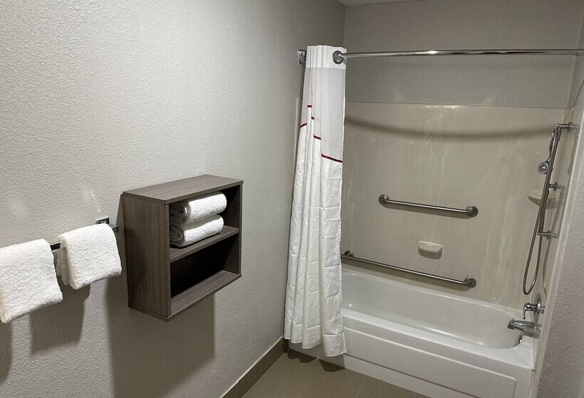 Hotel Red Roof Inn Auburn Hills