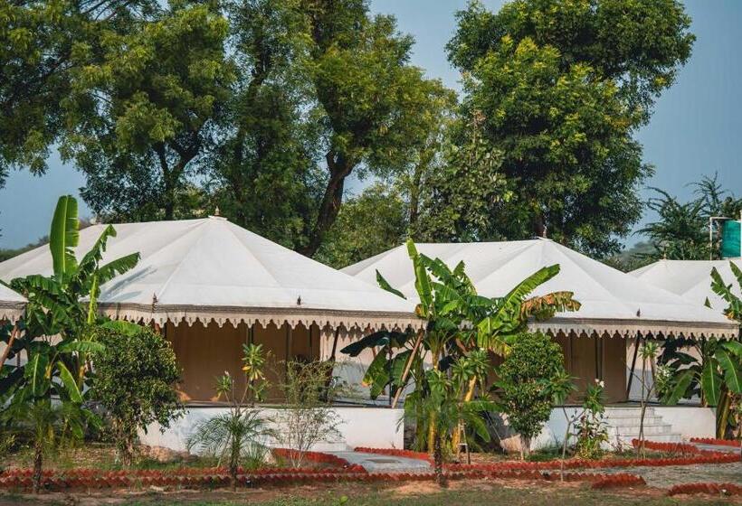 Hotel Riva Stays And Trails