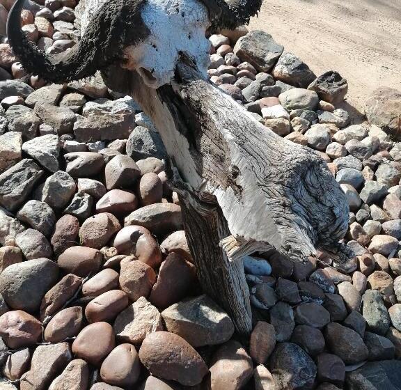 Hotel The Wild Horizon Lodge