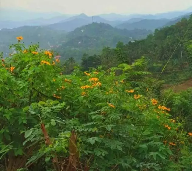 Kandy Ivy Mountain View Resort