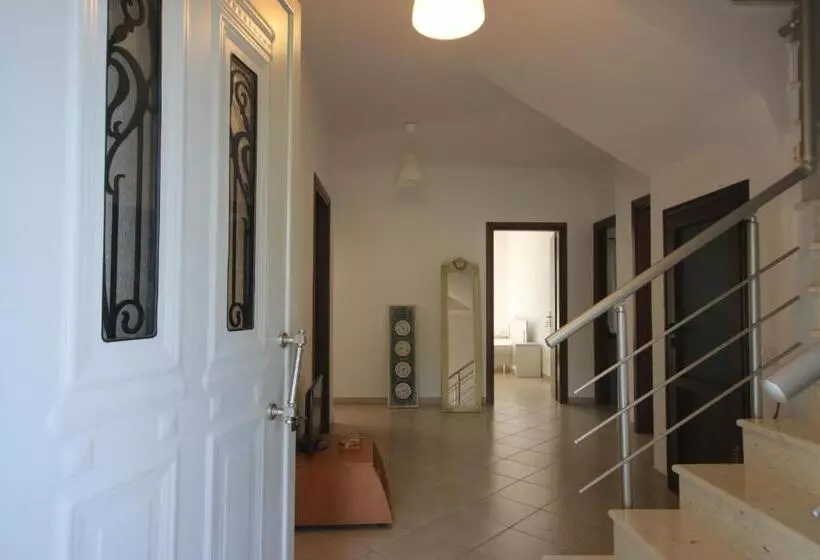 Mato Rooms
