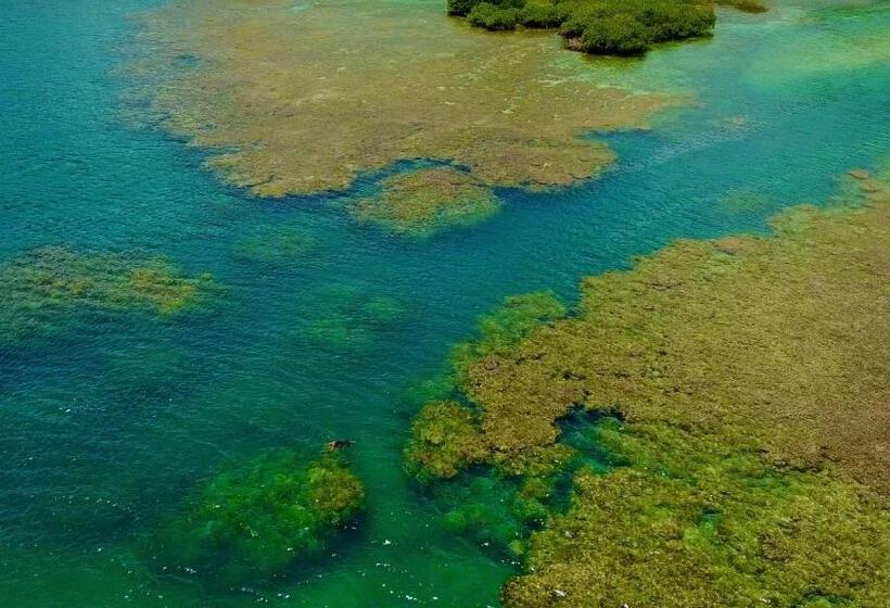 Pension Aeolus Guest House