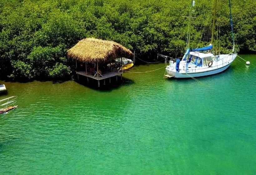 Pension Aeolus Guest House