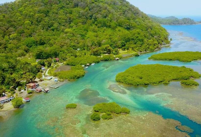 Pension Aeolus Guest House