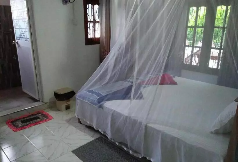 پانسیون Dana Guest Home