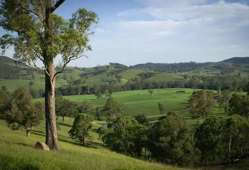 リゾートホテル Riverwood Downs Of Barrington Tops