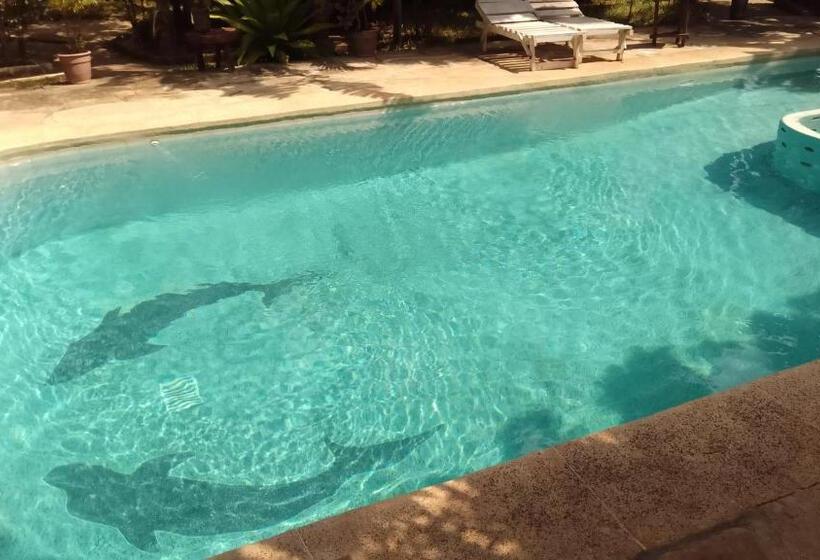 Seaesta Studio Diani