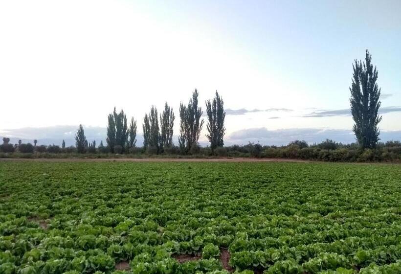 فندق صغير Hendoku Yaku