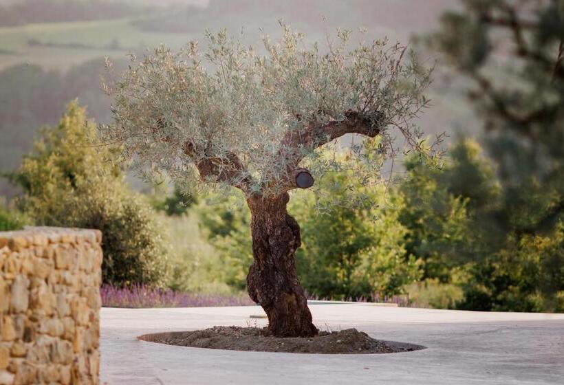 צימר Domaine De Chabanne