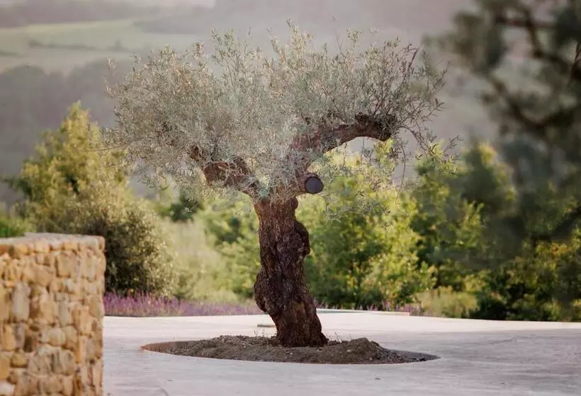 Aamiaismajoitus (B&B) Domaine De Chabanne