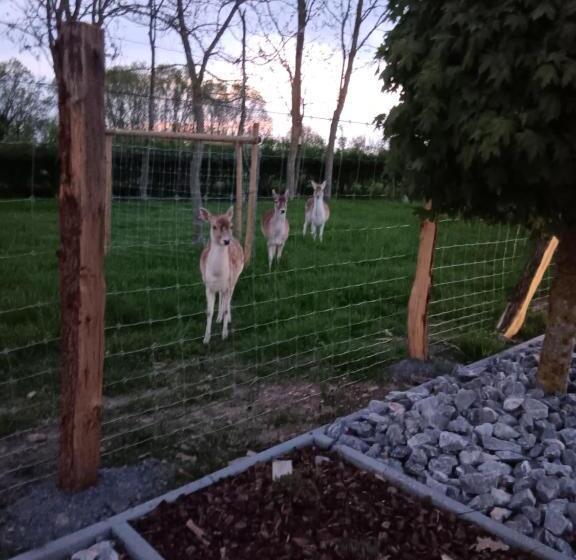 تختخواب و صبحانه La Chambre Des Daines