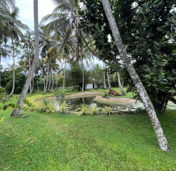 Bed and Breakfast Tim S Villa