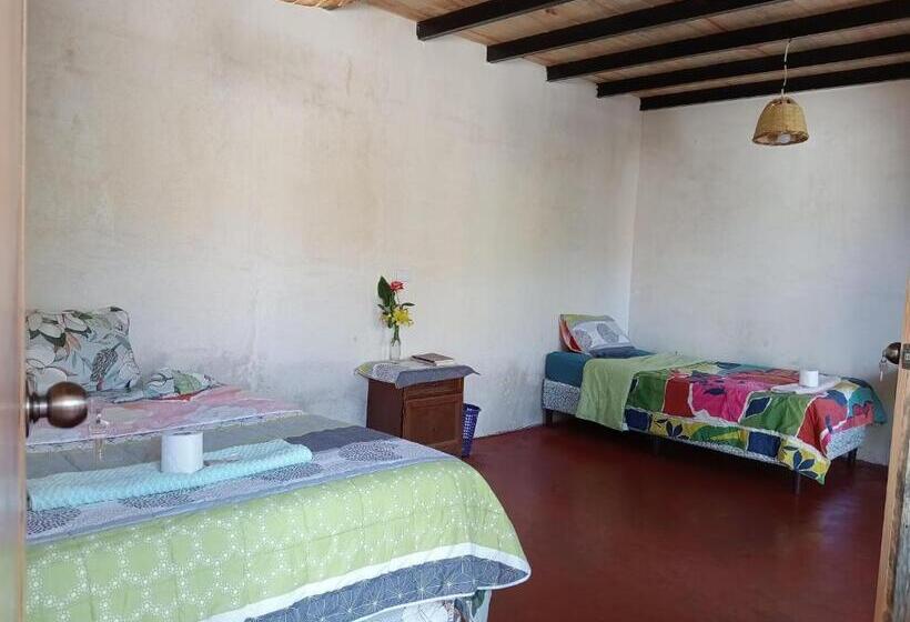 پانسیون Cabaña Tzanjuyu