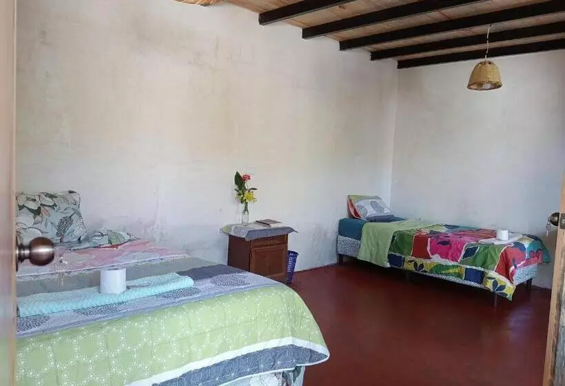 پانسیون Cabaña Tzanjuyu