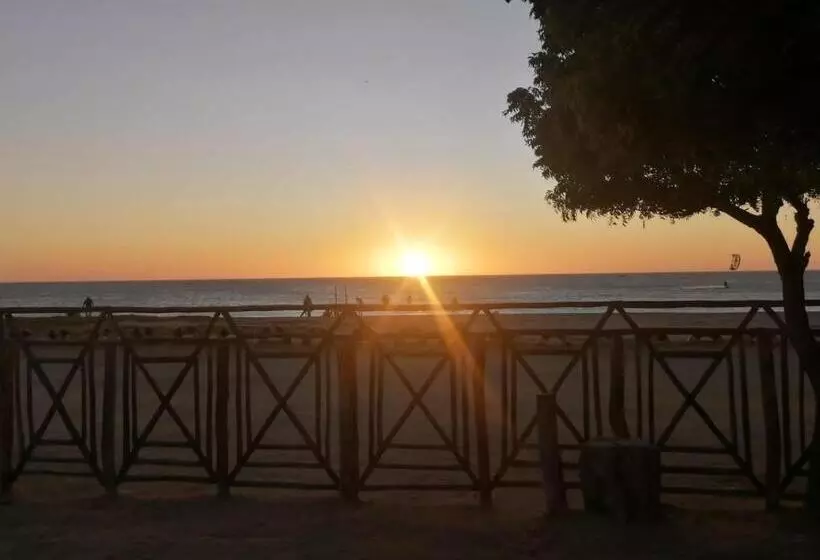 ペンション El Viejo Moi Hospedaje & Restaurante