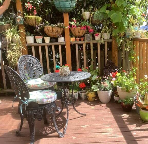 Pension Garden Studio In Mount Nelson