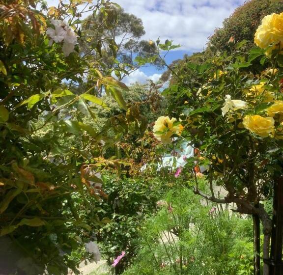 Pension Garden Studio In Mount Nelson