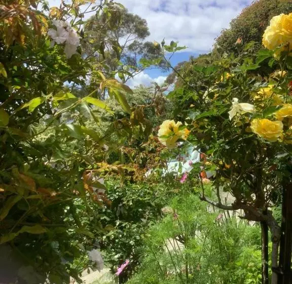 ペンション Garden Studio In Mount Nelson