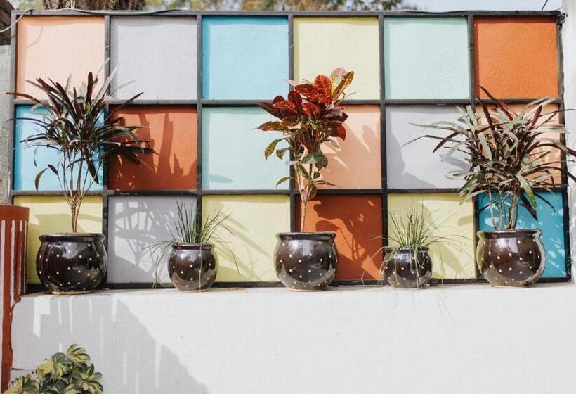 Отель Ohh Hostler