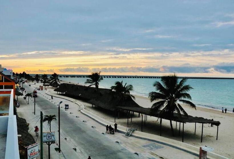 Hotel Tropical Suites