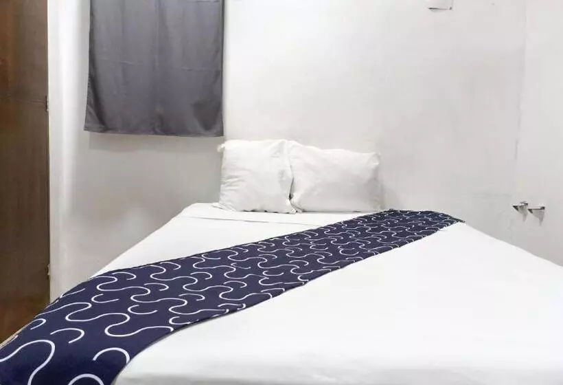 ホテル Tropical Suites