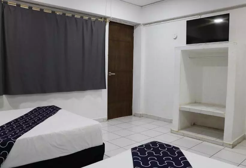 ホテル Tropical Suites