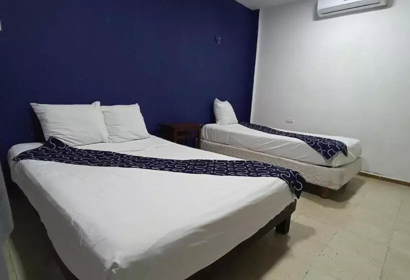 ホテル Tropical Suites