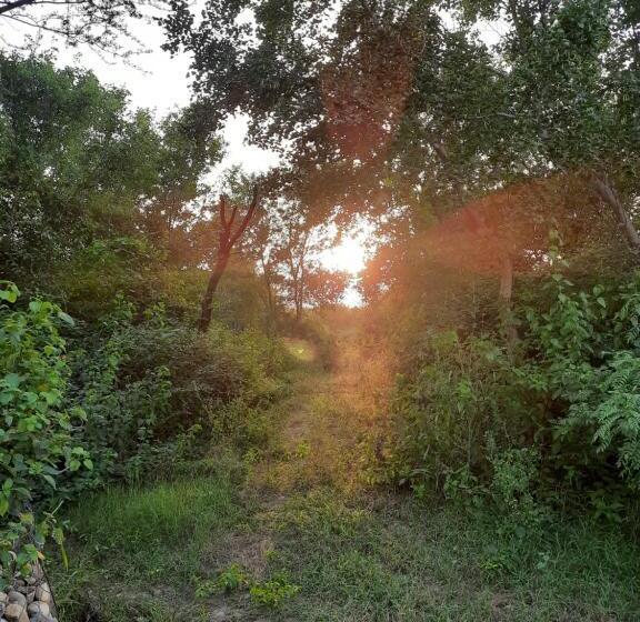 בית מלון כפרי Vedic Farms