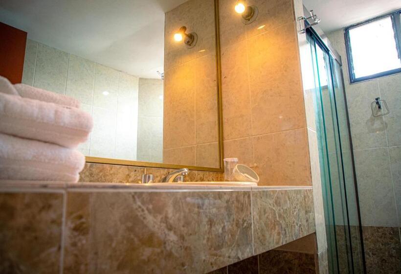 هتل Viña Del Sur