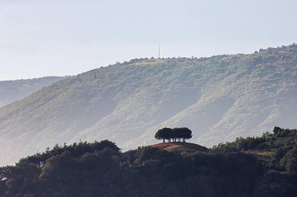Nuovo B&b Colline San Benedetto